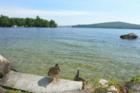 Lake Winnipesaukee