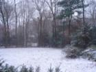 Snowing in Bolton, early in December