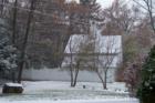 Nashua -- It's beginning to look a lot like Christmas
      (c) 2007 Joan Whitebook