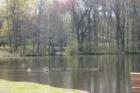 Wrights Pond In Orange CT