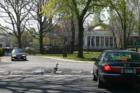 Duck Crossing - I love this!