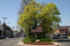 Milford Green