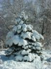 Snow Fall Dec 1 In Cottonwood Heights.