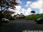 Kahana Manor, Kahana, Maui Hawaii  <a href="http://www.garybland.com">http://www.garybland.com</a>
      
      <a href=" http://www.realestatemaui.us">Visit my Maui Real Estate weblog.</a>
      