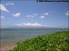 Kahana Outrigger, Kahana, Maui Hawaii  <a href="http://www.garybland.com">http://www.garybland.com</a>
      
      <a href=" http://www.realestatemaui.us">Visit my Maui Real Estate weblog.</a>
      