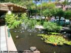 Sands of Kahana, Kahana, Maui Hawaii  <a href="http://www.garybland.com">http://www.garybland.com</a>
      
      <a href=" http://www.realestatemaui.us">Visit my Maui Real Estate weblog.</a>
      