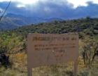 Last refuge for Desert Bighorn sheep near Tucson, Arizona: Pusch Ridge in Catalina State Park