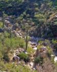 Pools of water, flowing stream in Catalina State Park
