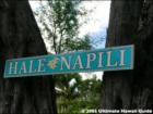 Hale Napili, Napili, Maui Hawaii  <a href="http://www.garybland.com">http://www.garybland.com</a>
      
      <a href=" http://www.realestatemaui.us">Visit my Maui Real Estate weblog.</a>
      