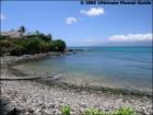 Honokeana Cove, Napili, Maui Hawaii  <a href="http://www.garybland.com">http://www.garybland.com</a>
      
      <a href=" http://www.realestatemaui.us">Visit my Maui Real Estate weblog.</a>
      