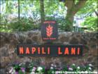 Napili Lani, Napili, Maui Hawaii  <a href="http://www.garybland.com">http://www.garybland.com</a>
      
      <a href=" http://www.realestatemaui.us">Visit my Maui Real Estate weblog.</a>
      