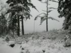 The First Snow of the Season!