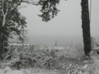 The first snow of 2007!