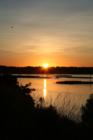 Lockwood Folly Sunset