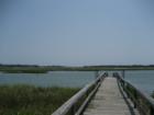 Pier
