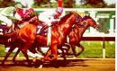 The Breeders Cup was held in Oceanport 2007.  for real estate in Oceanport, NJ call CENTURY21 Showcase 732-845-3600
