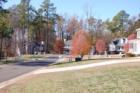 Treelined streets in Golden Pond