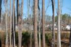 Playground and Baseball Diamond through the trees in Golden Pond