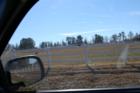 Brassfield Plantation - minimum 10 acre lots