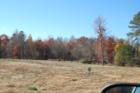 ALOT of Lots ready in Iron Wood
