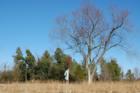 Beatiful rolling hills in Iron Wood. Easy location.