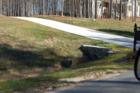 Merriweather Lots
