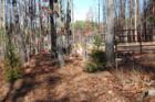 Pebblebrook Goat Farm