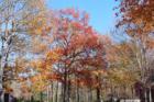 Pebblebrook minimum 5 acres.