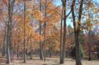 Pebblebrook