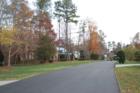 Tree lined streets in North Raleigh