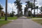 Bayshore Drive, Cape Coral.  Huge  palms line the street ! Very pretty area of Cape Coral