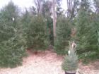 Christmas at Kenny's