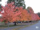 Pascack Brook Park