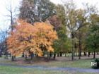 Pascack Brook Park in Westwood NJ