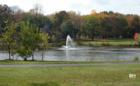 Pascack Brook Park in Westwood NJ