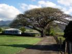 Mokuleia area near Haleiwa, HI 
