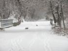 Northern Central Railroad bike/hike trail in the first snowfall of the season.  