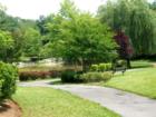 Park