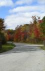 Edison Road Sparlem
