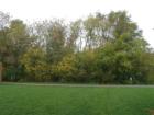 Open Space in Hidden Creek