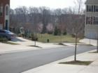 Streetscape