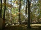 My Back Yard... One of the Reasons Why I Live in Sparta
