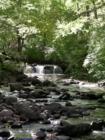 Wanaque River