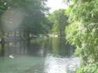 The River in San Marcos
