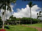 Napili Shores Resort, Napili, Maui Hawaii  <a href="http://www.garybland.com">http://www.garybland.com</a>
      
      <a href=" http://www.realestatemaui.us">Visit my Maui Real Estate weblog.</a>
      