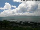 Napili Shores Resort, Napili, Maui Hawaii  <a href="http://www.garybland.com">http://www.garybland.com</a>
      
      <a href=" http://www.realestatemaui.us">Visit my Maui Real Estate weblog.</a>
      