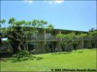 Napili Shores Resort, Napili, Maui Hawaii  <a href="http://www.garybland.com">http://www.garybland.com</a>
      
      <a href=" http://www.realestatemaui.us">Visit my Maui Real Estate weblog.</a>
      