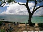 Napili Surf, Napili, Maui Hawaii  <a href="http://www.garybland.com">http://www.garybland.com</a>
      
      <a href=" http://www.realestatemaui.us">Visit my Maui Real Estate weblog.</a>
      