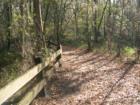 Gainesville, FL Nature trail. Gainesville has tons of awesome state parks and nature trails! Submitted by Bosshardt Realty - www.BosshardtRealty.com 