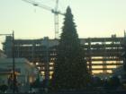 The North Hills Mall gets dressed up for the holidays.  This is my favorite outdoor mall in  the Triangle with many specialized stores.  Behind the tree you will see the new hotel that will compliment the shopping center when complete.